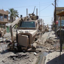 Buffalo Destroyed in Old Baqubah